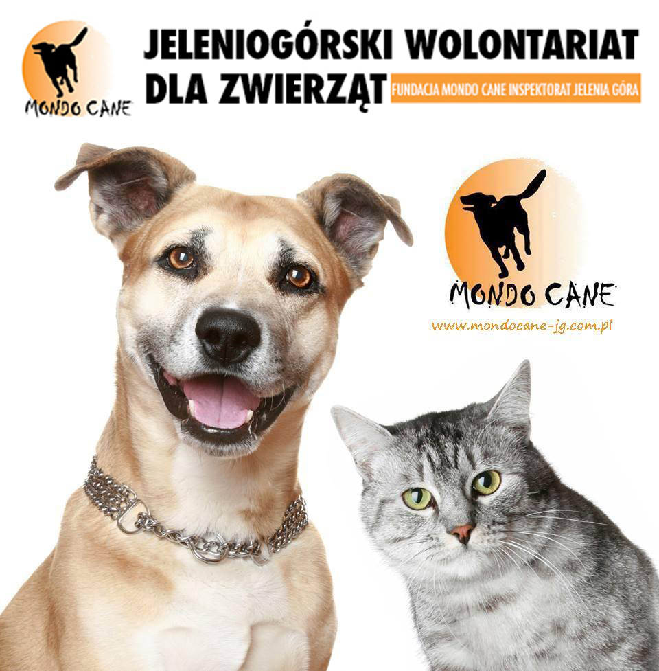 Jeleniogórski wolontariat dla zwierząt mondo cane.jpg